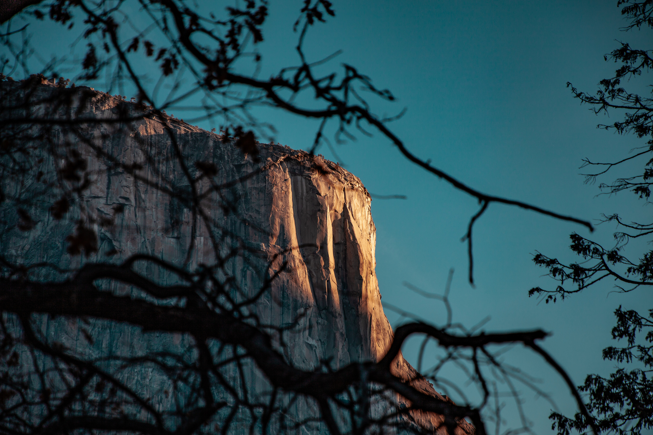 Selective Focus Photography Of Mountain